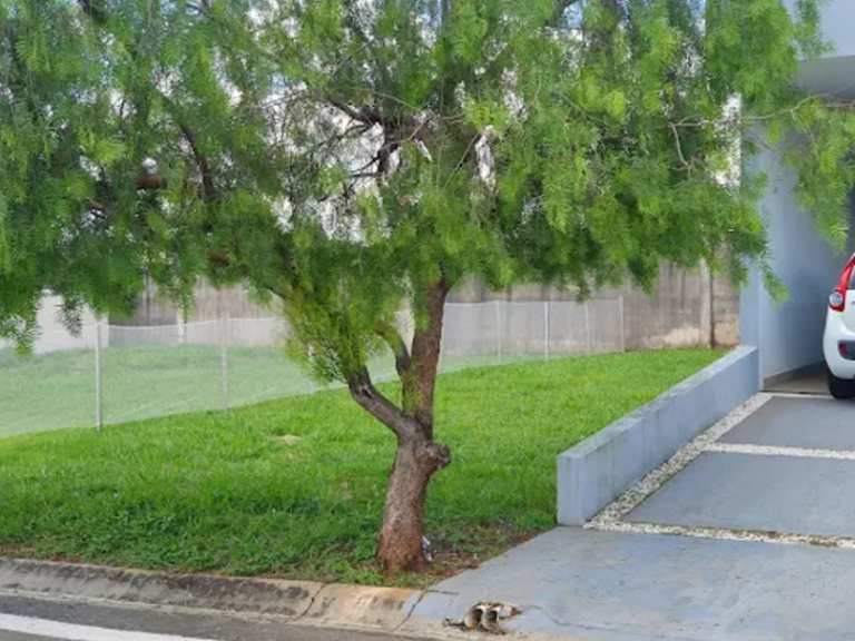 Captura-de-tela-2025-07-23-135134-1