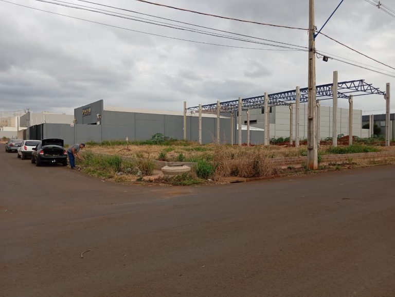 WhatsApp-Image-2025-06-21-at-16.18.38-1