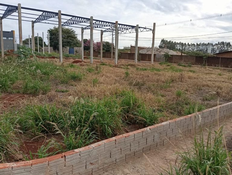 WhatsApp-Image-2025-06-21-at-16.18.38