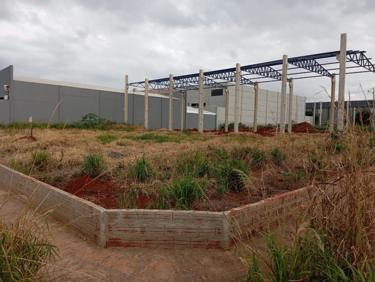 WhatsApp-Image-2025-06-21-at-16.18.39-2