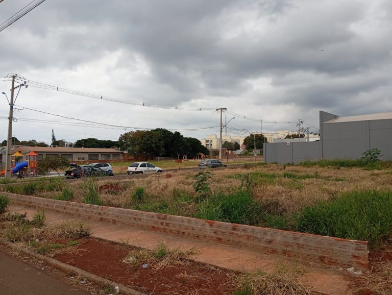 WhatsApp-Image-2025-06-21-at-16.18.39