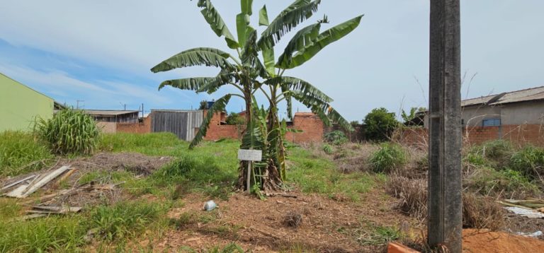 Imagem-do-WhatsApp-de-2025-11-29-as-09.50.19_fea3cfb9-3