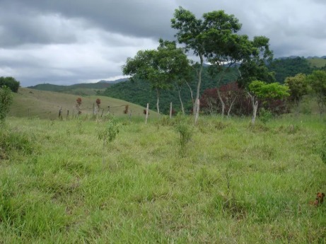 Imagem-do-WhatsApp-de-2025-11-10-as-13.45.08_388df4ee