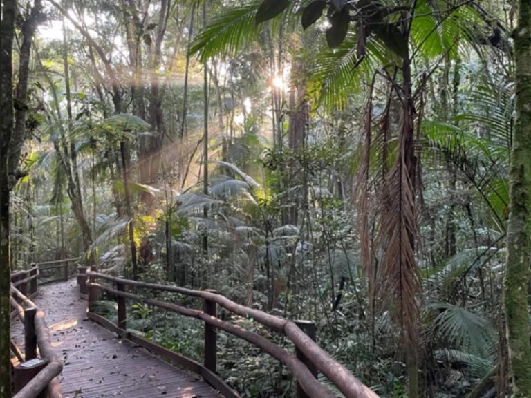 WhatsApp-Image-2025-01-29-at-13.46.28-3-1