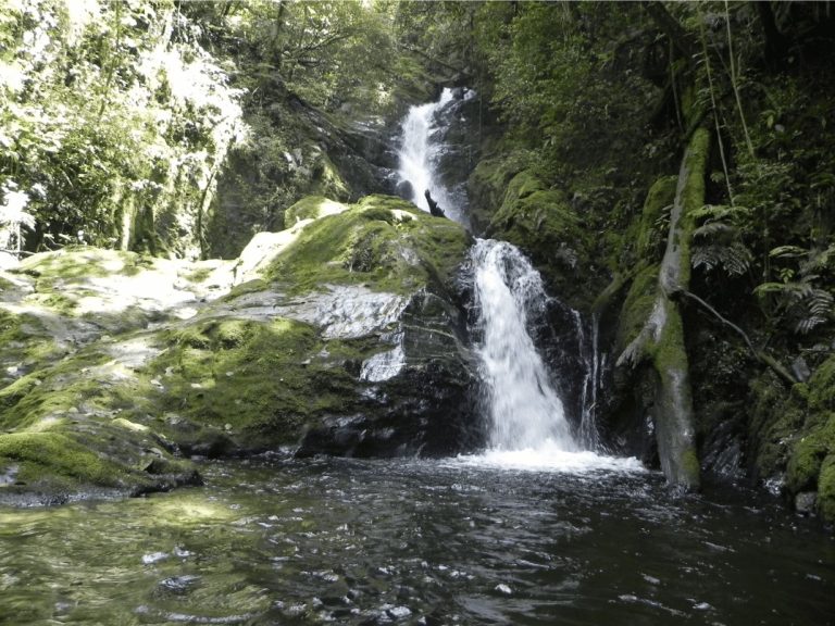 WhatsApp-Image-2025-01-29-at-13.46.28