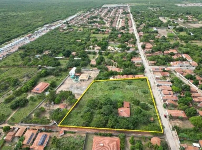 WhatsApp-Image-2026-01-08-at-12.54.35