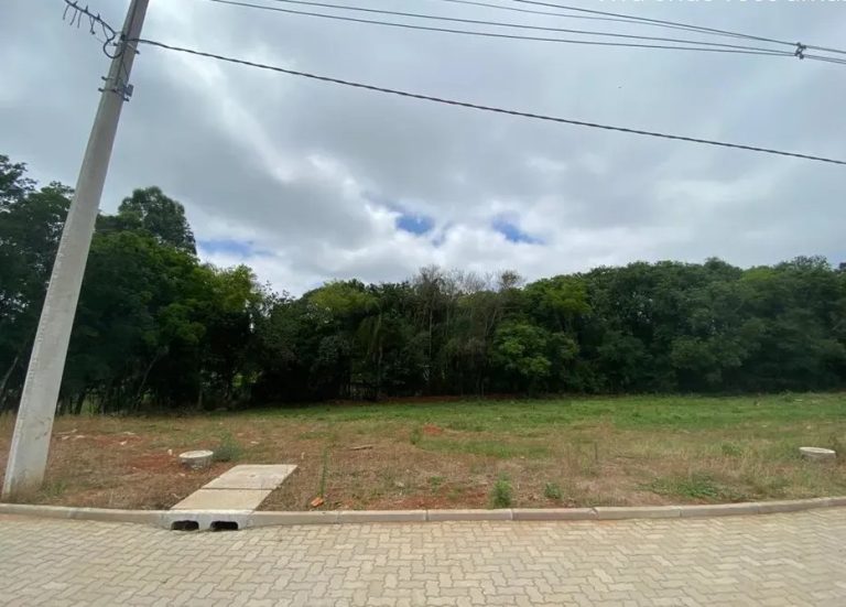 whatsappimage2022-12-07at0914501jpeg