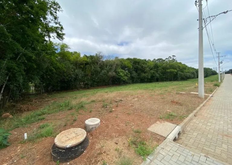 whatsappimage2022-12-07at0914503jpeg