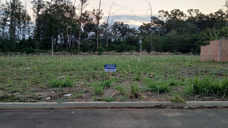 WhatsApp-Image-2025-10-13-at-10.04.28-1