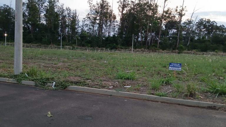 WhatsApp-Image-2025-10-13-at-10.04.28-2