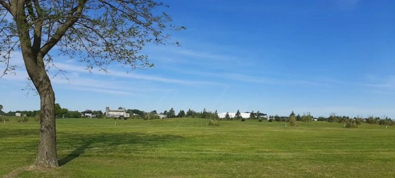 424c1d99-9104-40cb-ab86-023b0d5685a3