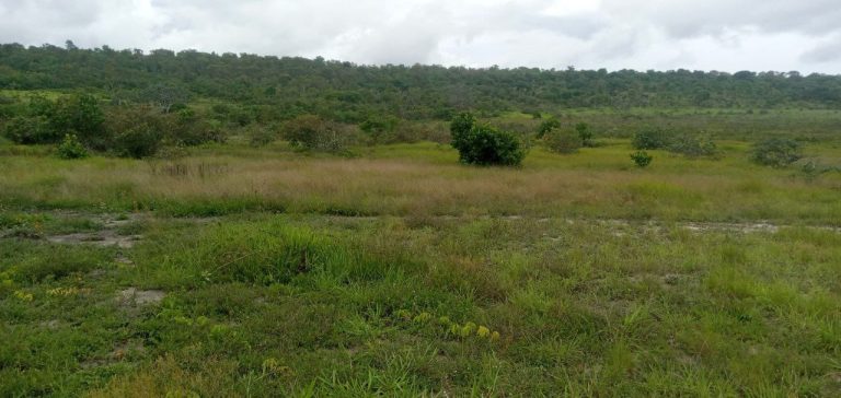 Imagem-do-WhatsApp-de-2025-07-23-as-16.25.47_280da173