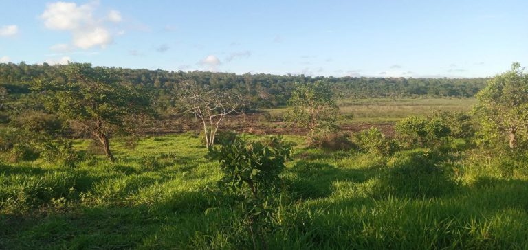 Imagem-do-WhatsApp-de-2025-07-23-as-16.25.47_52062f59