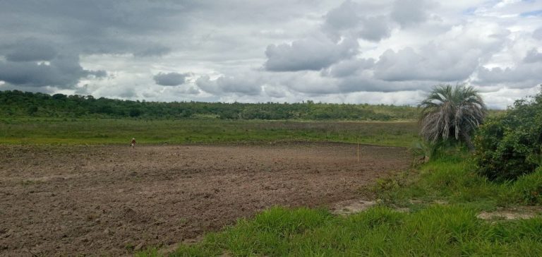 Imagem-do-WhatsApp-de-2025-07-23-as-16.25.48_2b9aa5a2