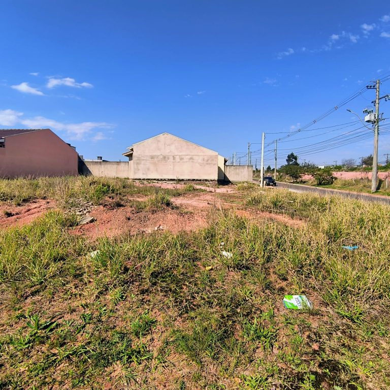 WhatsApp-Image-2025-09-19-at-09.17.05-1