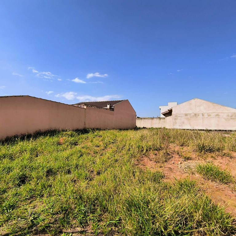 WhatsApp-Image-2025-09-19-at-09.17.05-4-1